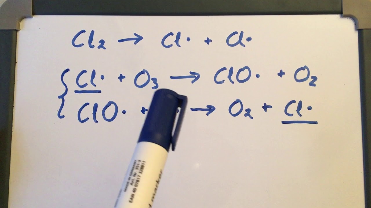 Homogeneous catalysis of ozone destruction by chlorine radicals. YouTube