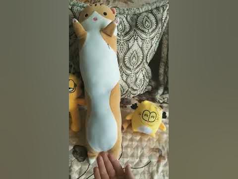 семейство кошачих - YouTube