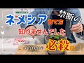 「ネメシア」の育て方 モリモリ咲かせるなら見てください　常識はずれ？今夜園芸の常識を変える　コレはもはや必殺技