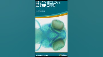 Nrf2 impacts cellular bioenergetics by controlling substrate availability for mitocho... | RTCL.TV