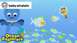 Sorting With Gl Fish Song New Ocean Explorers Baby Einstein Toddlers Show Kids Cartoons