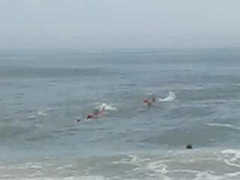 Chincoteague Va Beach Rescue Video On Ateague Island You Chincoteague Va Beach Rescue Video On Ateague Island