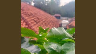 Nahadong