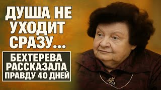 :       40    -    