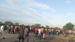 Lou nuer viva