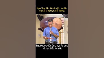 Hạt Công đức, Phước đức, Ác đức, Siêu Ác đức có phải là hạt vật chât không? #thientongtandieu