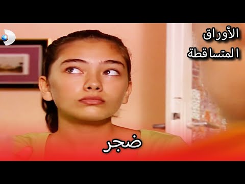 للزهور البلاستيكية الأوراق المتساقطة الحلقة 94 