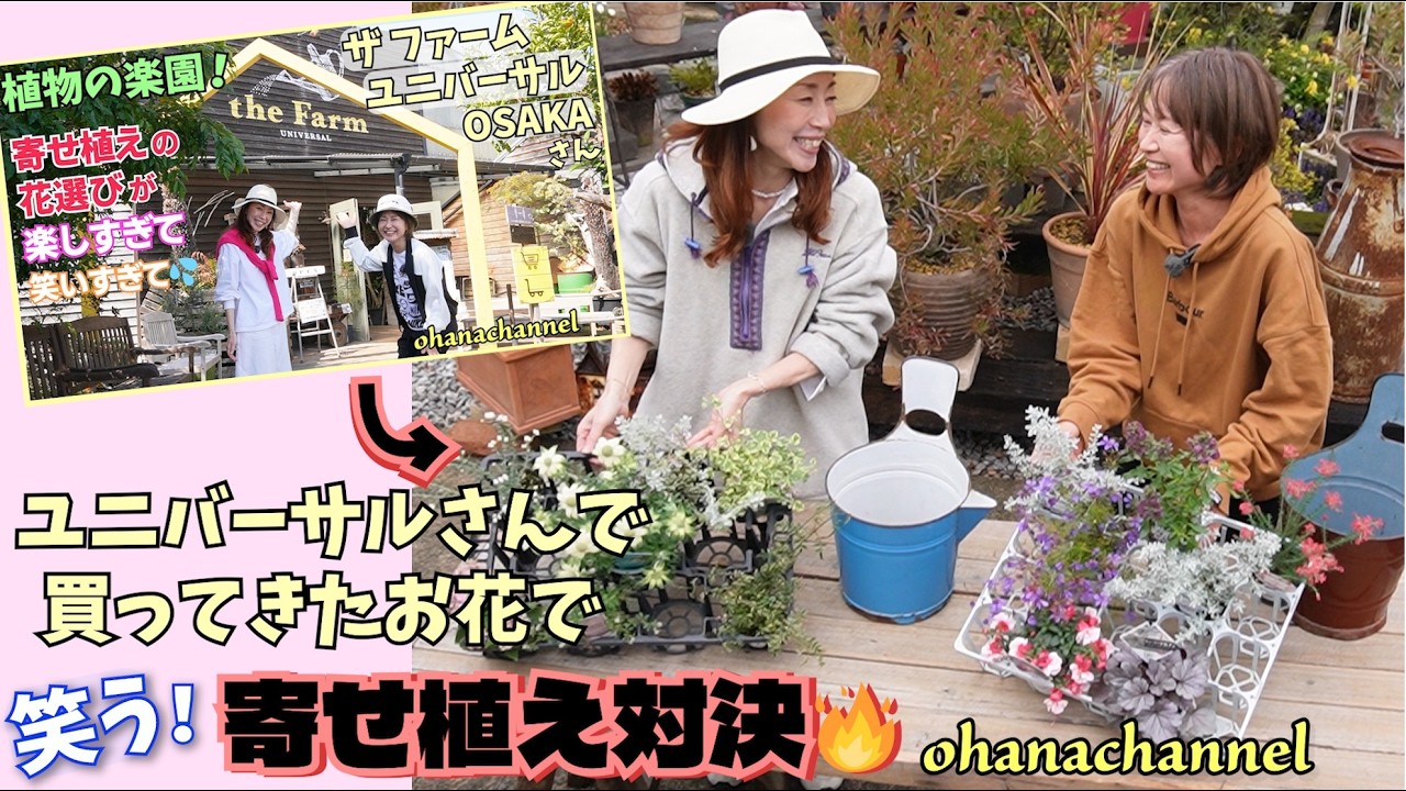 Laugh-out-loud! Container Gardening Showdown🔥》Using pots and