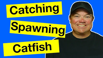 Catching Catfish During the Spawn