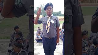 Scout Sign Salute Motto Scouts