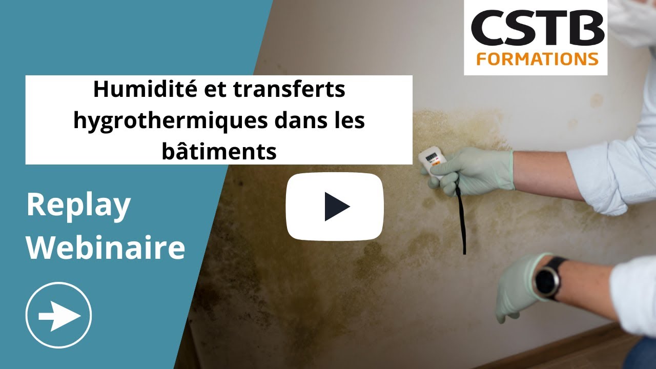 Gestion De L'Humidité Dans Les Bâtiments : Guide Complet 2024
