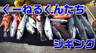 くーねる Youtube