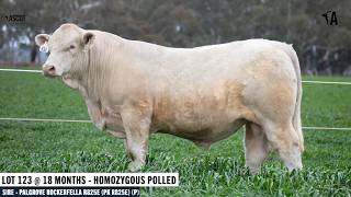 LOT 123 : ASCOT WEAPON W113E AI P