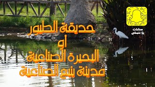 بحيرة ينبع الصناعية ( أو حديقة الطيور )