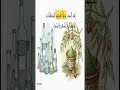 السدر وفوائده المزهلة إن أعجبك إشترك حتى تصلك وصفاتي