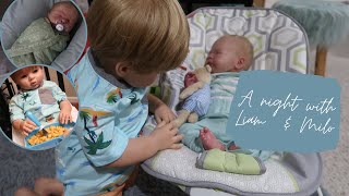 Liam & Milo's Summer Night Routine | Reborn Roleplay | Sophia's Reborns
