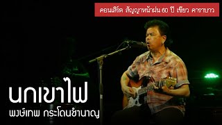 พงษ์เทพ กระโดนชำนาญ - นกเขาไฟ [คอนเสิร์ต สัญญาหน้าฝน 60 ปี เขียว คาราบาว]