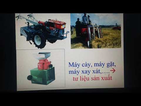 GDCD8 - QUYỀN SỞ HỮU......