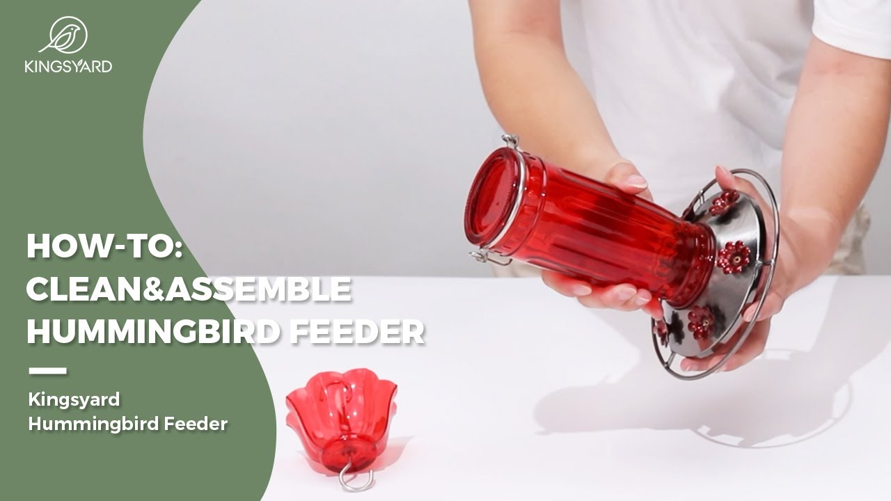 HOW-TO: Clean and Assemble your Hummingbird Feeder - YouTube
