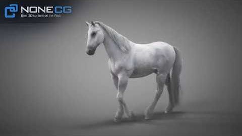 3D Horse Walk
