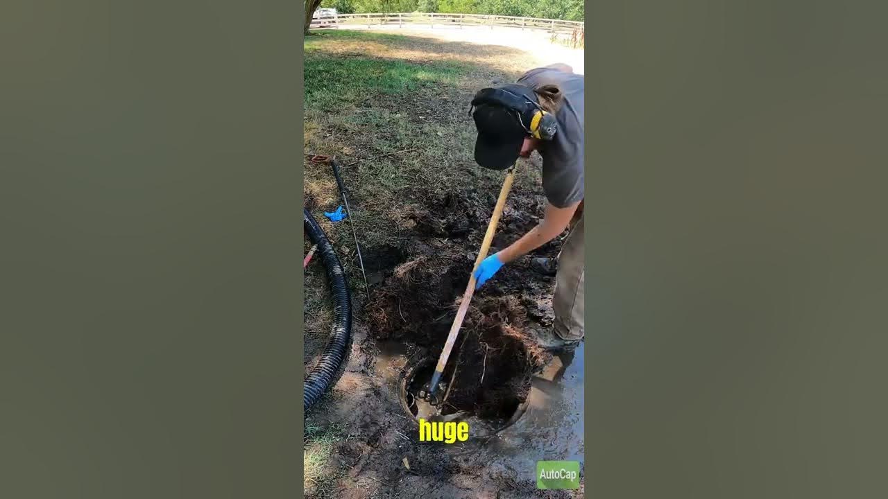 How to use a pressure washer to cut and remove roots from the septic