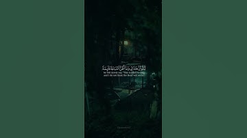 [ لايسئم الانسان من دعاء الخير ] حالات وانس اب قرآن كريم | ماهر المعيقلي