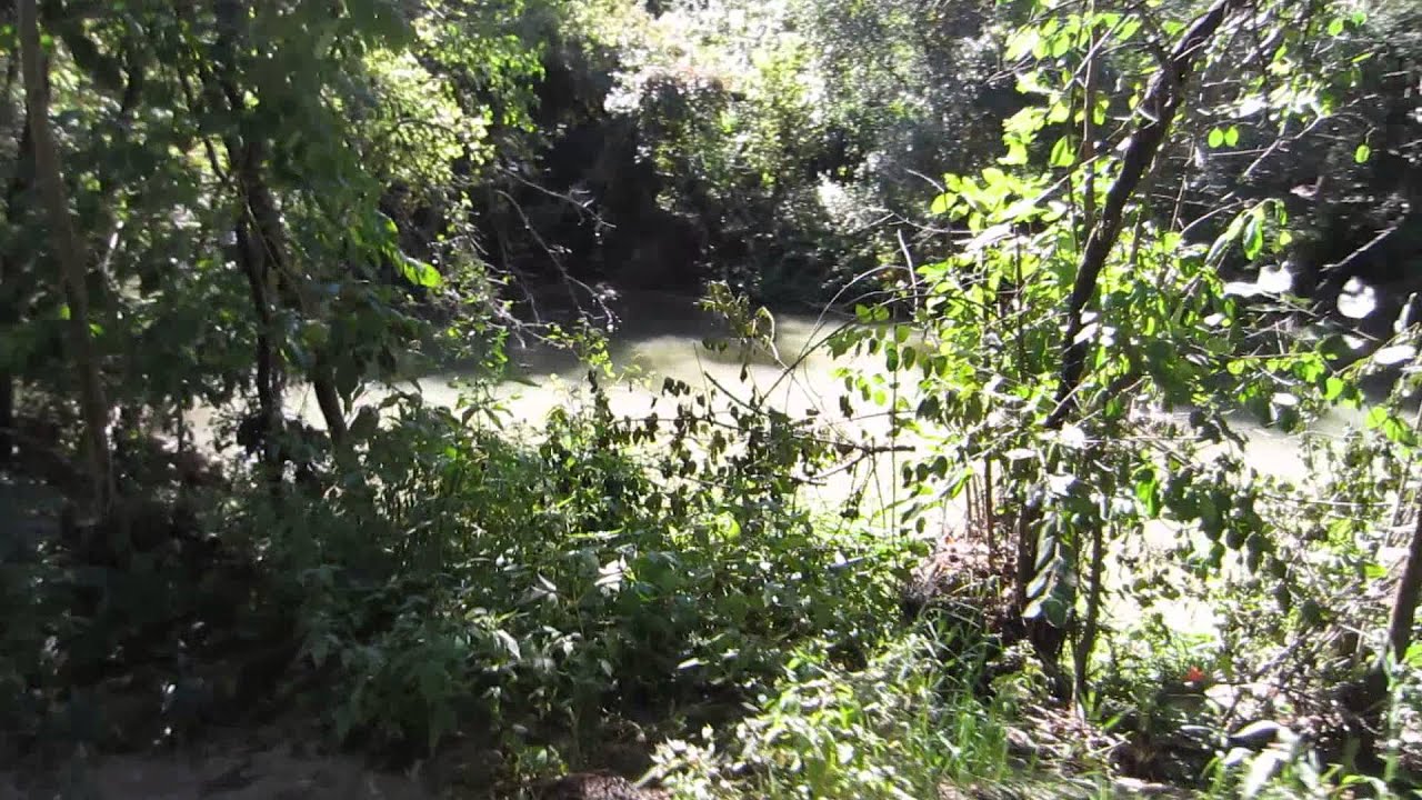 664   West Don Trail 3