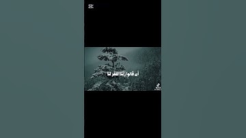#قرآن #قران_كريم #ياسر_الدوسري ..... تلاوة جميلة للشيخ ياسر الدوسري ❤