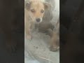 #cute