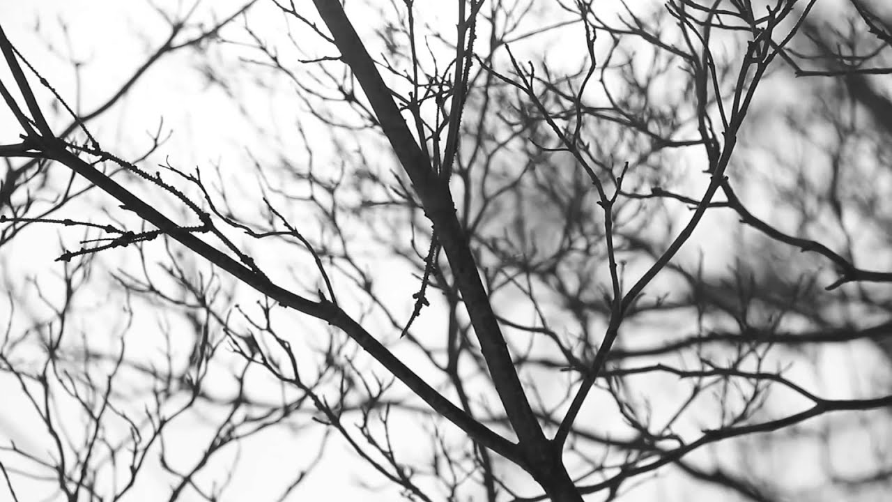 Wots...Uh The Deal-Music Video