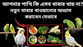 পাখিকে নতুন খাবার খাওয়ানোর অভ্যাস করানোর নিয়ম | কিভাবে আপনার পাখিকে নতুন খাবার খাওয়াতে অভ্যাস করাবেন