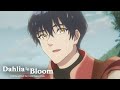 You'd Actually Be Cute If You Took a Bath | Dahlia in Bloom
