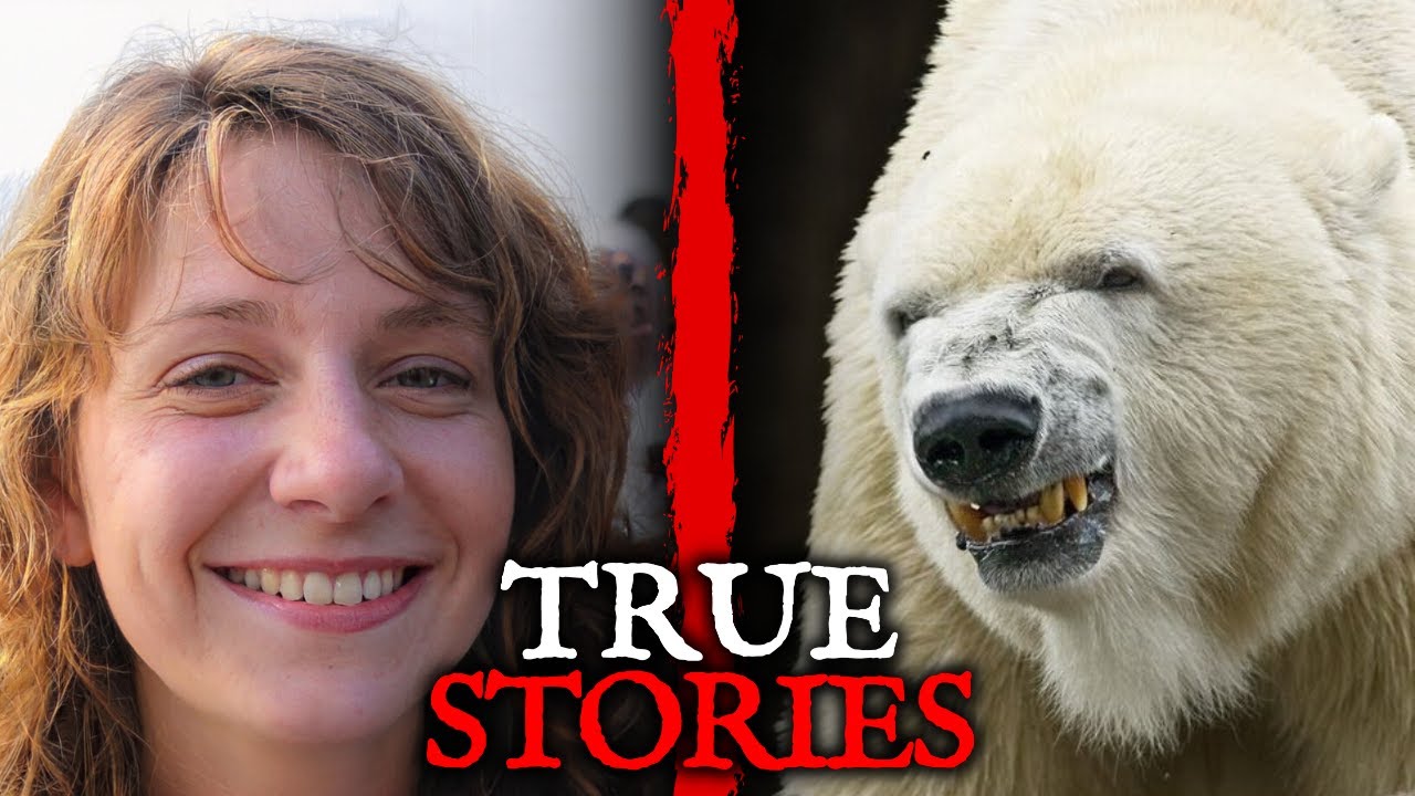 5 Most SHOCKING Polar Bear Attack Stories of The Year YouTube