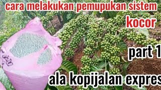 How To Fertilize Coffee Plants Using A Drip System Using A 16 Liter Tank
