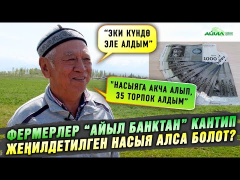 Video: TCP менен кантип насыя алса болот: сын-пикирлер