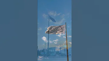 راية التوحيد ترفرف في سماء إدلب 