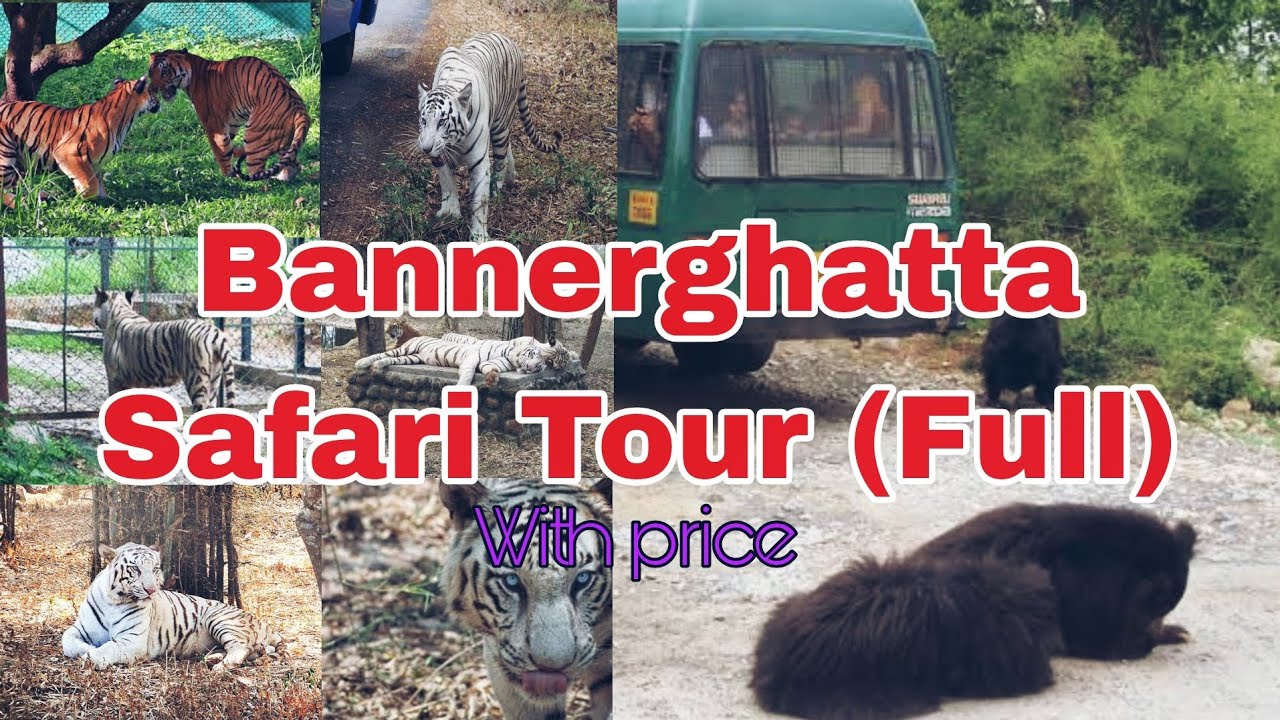 bangalore safari tours
