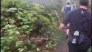 Stormy 2007 - Stuart Mcdonald From Behind