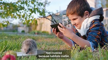 What is the Habitat Matters Mapping System