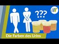 Was sagt die Farbe des Urins über die Gesundheit aus? | Urologie am Ring