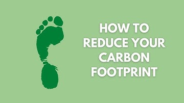 How To Reduce Your Carbon Footprint (Guide to Eco Lifestyle)