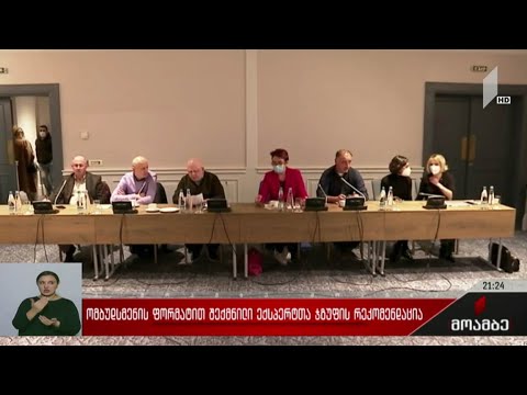 ომბუდსმენის ფორმატით შექმნილი ექსპერტთა ჯგუფის რეკომენდაცია