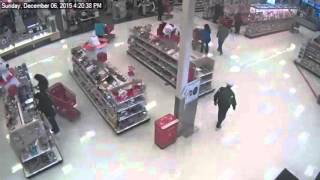 Purse Theft - Target