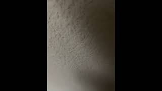 81078348750  25B56916 E322 4AE8 8F27 53ADC1DF4939