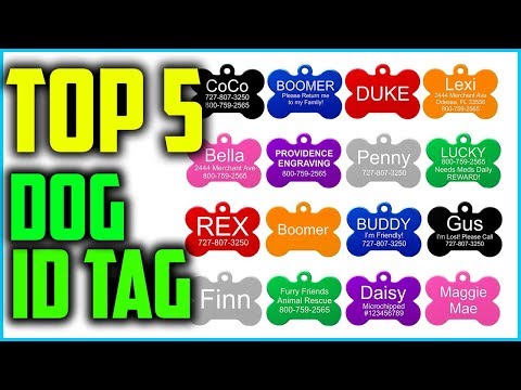 top-5-best-dog-id-tag-in-2020