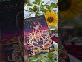 HONEY GODDESS: Grown Woman Romantasy, African Diaspora Magic & Sisterhood