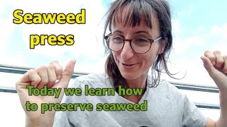 Seaweed press, learn how to preserve seaweed for long time