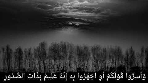 قال رسول الله(ص) ان سورة من القران ثلاثون آية شفعت لرجل حتي غُفر له و هي(تبارك الذي بيده الملك).