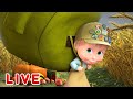 🔴 AO VIVO 👱♀️🐻 Masha e o Urso 📷🏕 Colecionando aventuras 📷🏕 Masha and the Bear LIVE