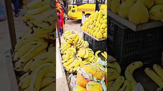 mango mist aam aadmi #reels #automobile #automobile #fruitrees #video #vlog #cargasm #autoenthusiast